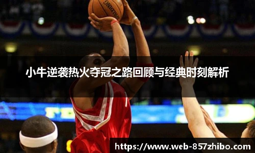 小牛逆袭热火夺冠之路回顾与经典时刻解析