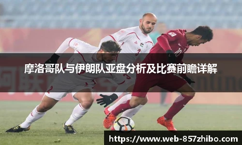 摩洛哥队与伊朗队亚盘分析及比赛前瞻详解