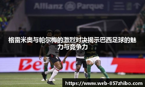 格雷米奥与帕尔梅的激烈对决揭示巴西足球的魅力与竞争力