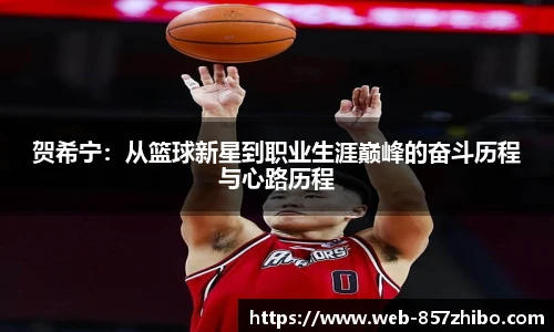 贺希宁：从篮球新星到职业生涯巅峰的奋斗历程与心路历程