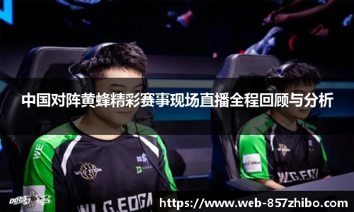 中国对阵黄蜂精彩赛事现场直播全程回顾与分析